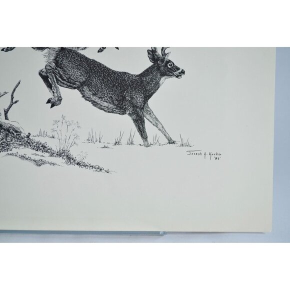 1982 Joseph A. Kuefler Buck Doe Running Print 14 x 11" - Picture 2 of 3